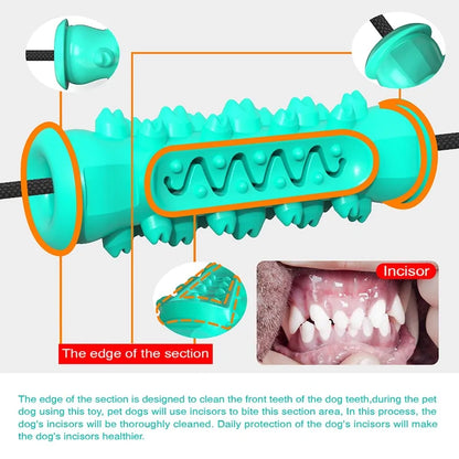 Dog Chew Toothbrush Toy